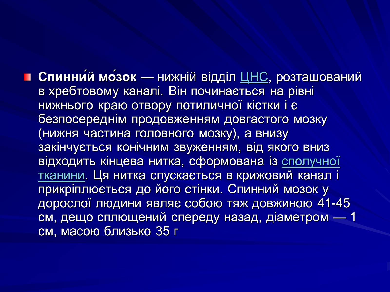 Презентація на тему «Спинний мозок» (варіант 1) - Слайд #3