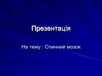 Презентація на тему «Спинний мозок» (варіант 1)