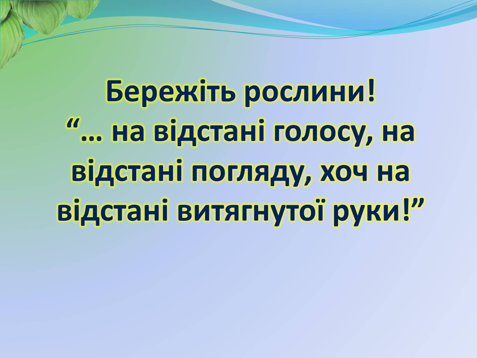 Презентація на тему «Функції листка» - Слайд #32