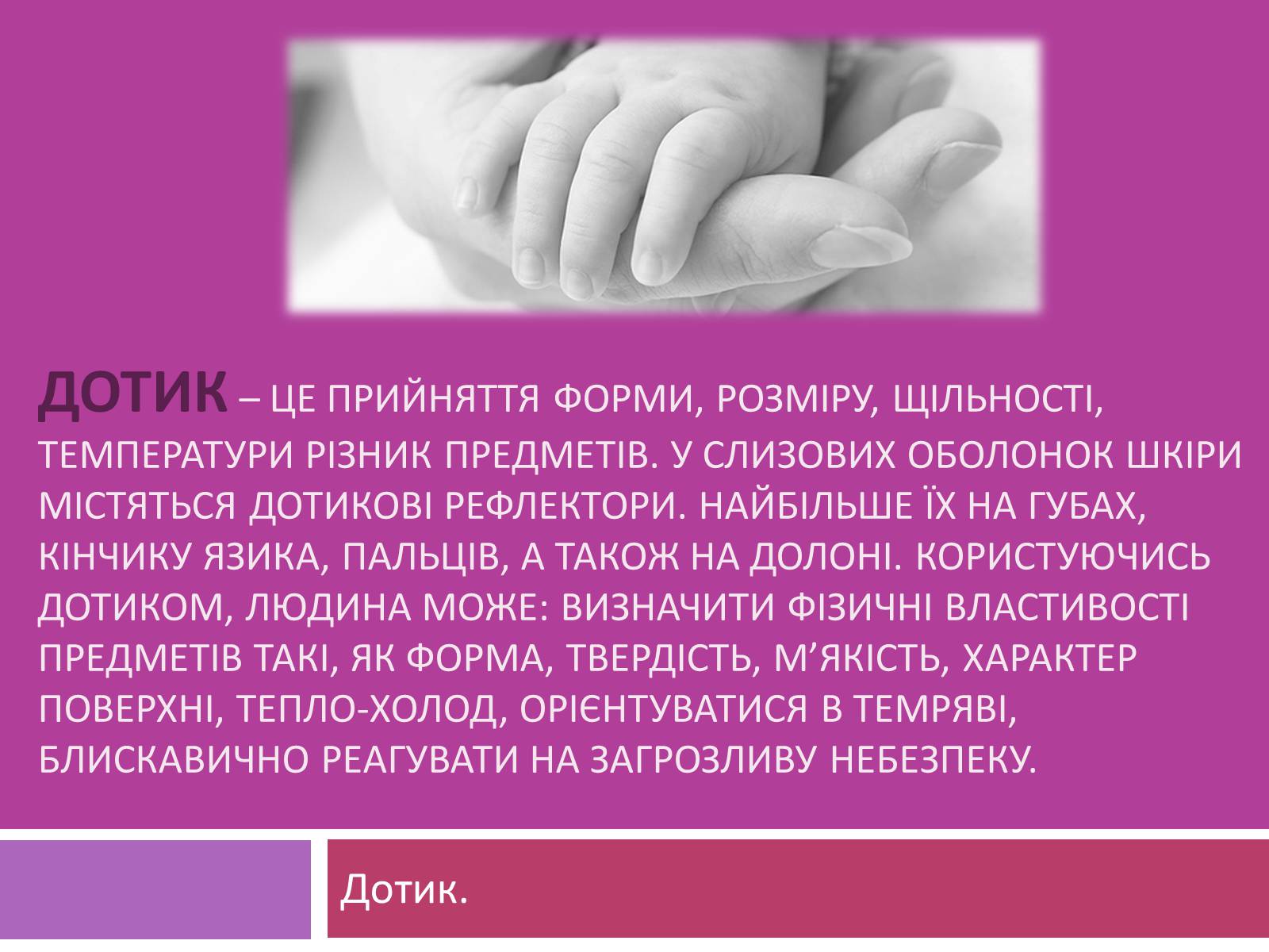 Презентація на тему «Вчення І.П. Павлова про Аналізатори» - Слайд #7