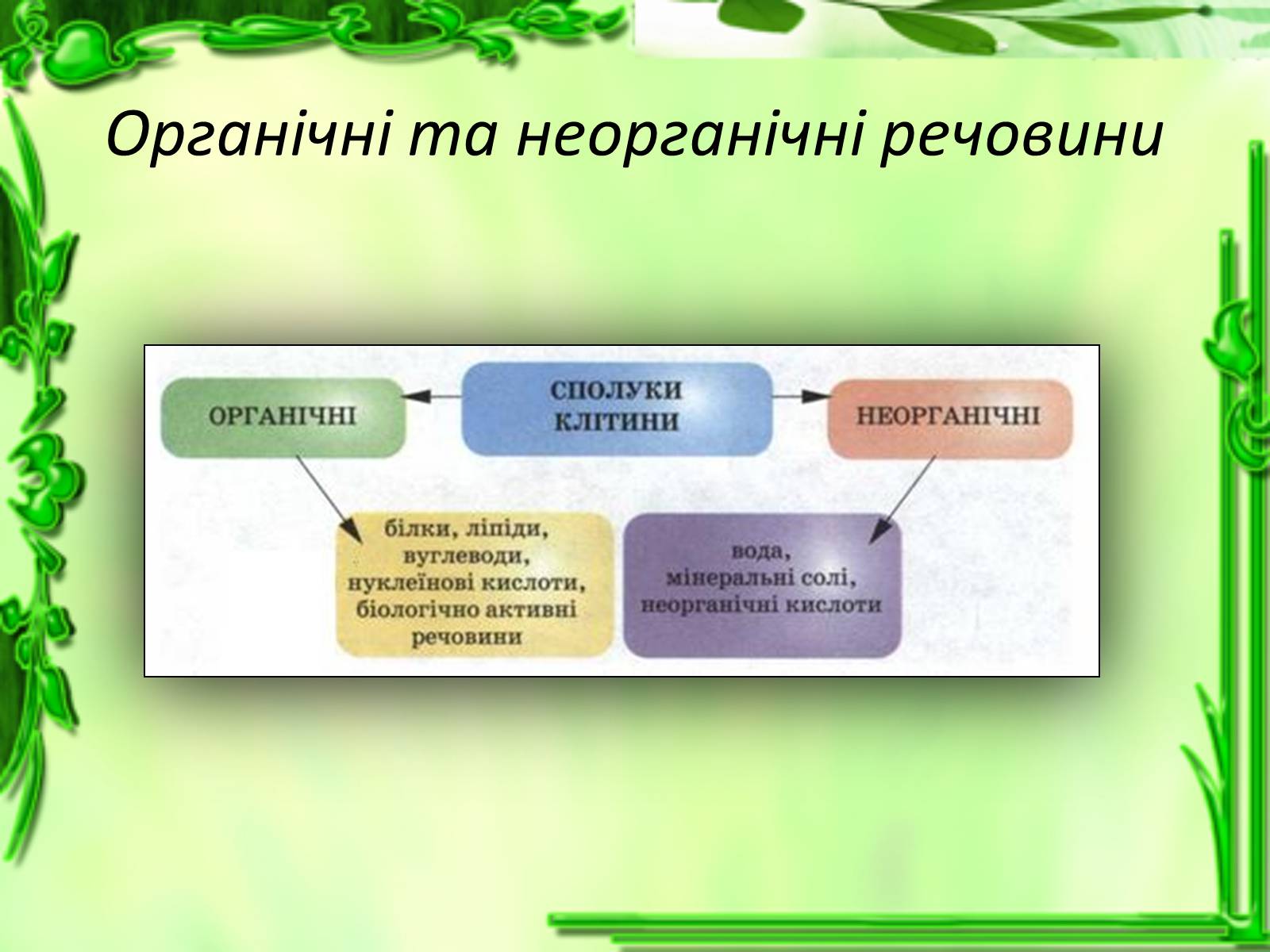 Презентація на тему «Життєдіяльність клітин» - Слайд #8