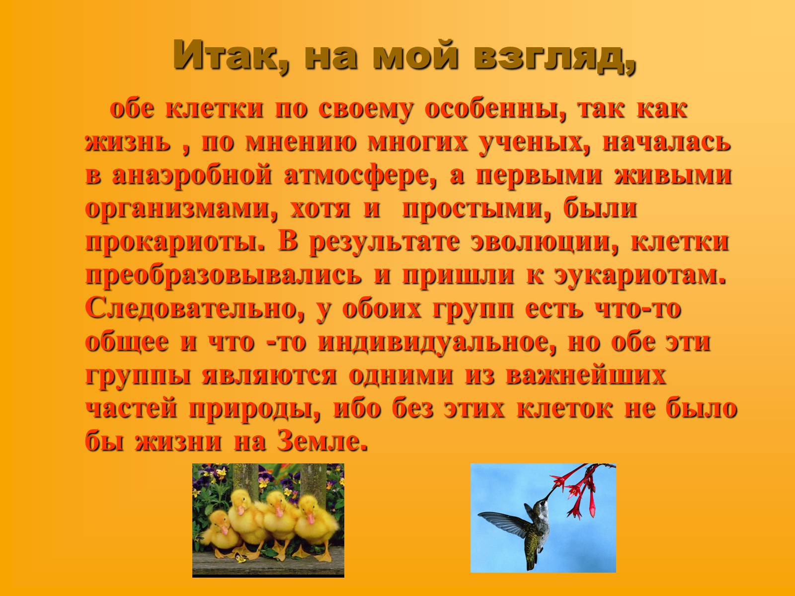 Презентація на тему «Сравнительная характеристика прокариотической и эукариотической клетки» - Слайд #9