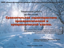 Презентація на тему «Сравнительная характеристика прокариотической и эукариотической клетки»