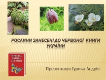 Презентація на тему «Рослини занесені до Червоної книги України»