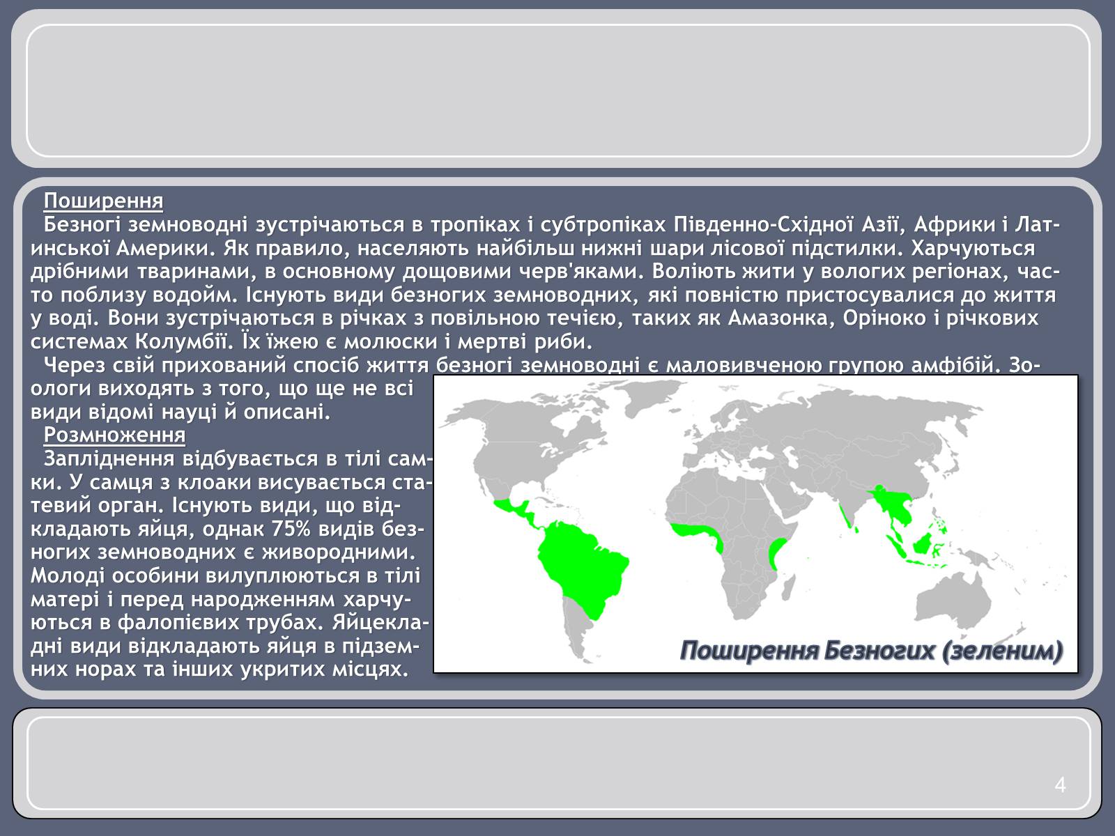 Презентація на тему «Різноманітність земноводних» (варіант 1) - Слайд #4