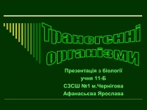 Презентація на тему «Трансгенні організми» (варіант 1)