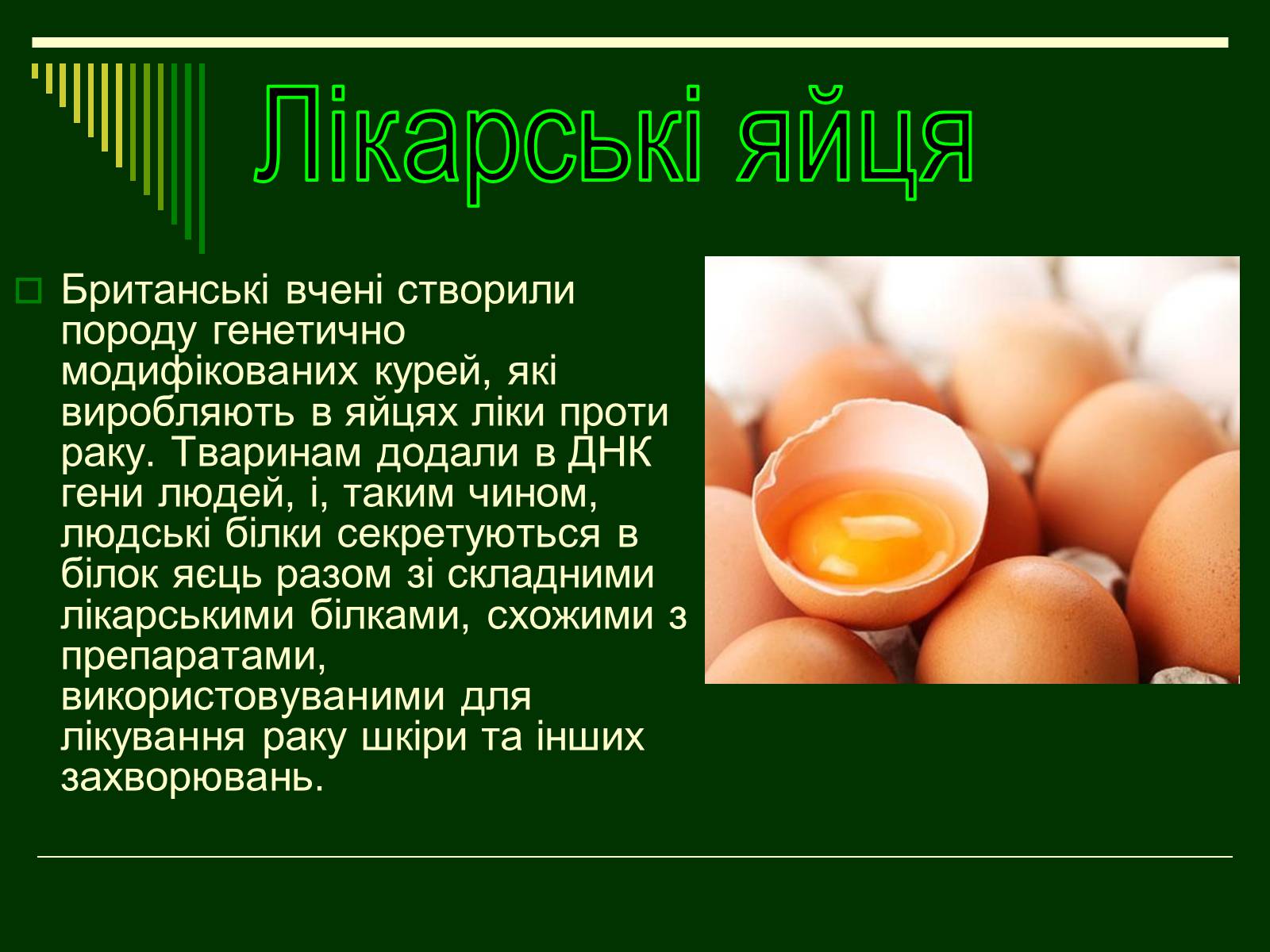 Презентація на тему «Трансгенні організми» (варіант 1) - Слайд #18