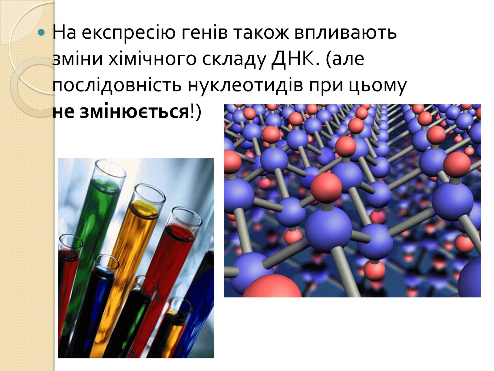 Презентація на тему «Основні закономірності функціонування генів у про – та еукаріотів» (варіант 1) - Слайд #21