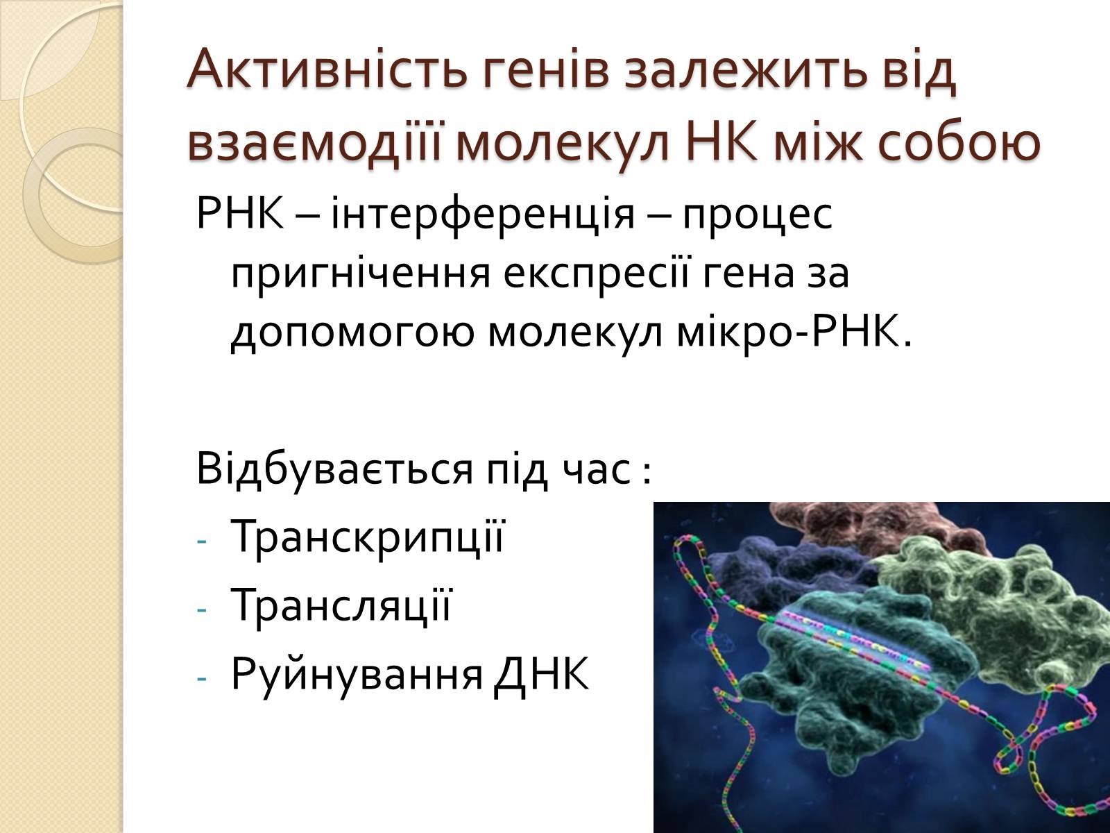 Презентація на тему «Основні закономірності функціонування генів у про – та еукаріотів» (варіант 1) - Слайд #23