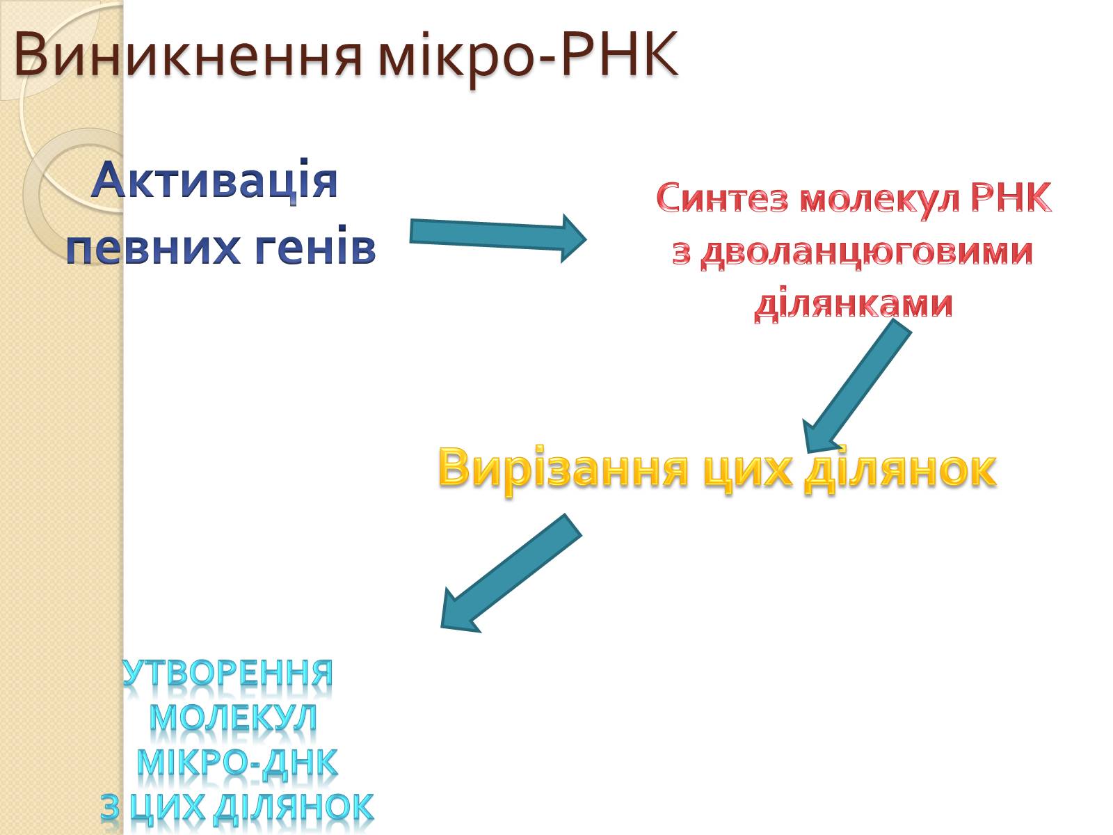 Презентація на тему «Основні закономірності функціонування генів у про – та еукаріотів» (варіант 1) - Слайд #25