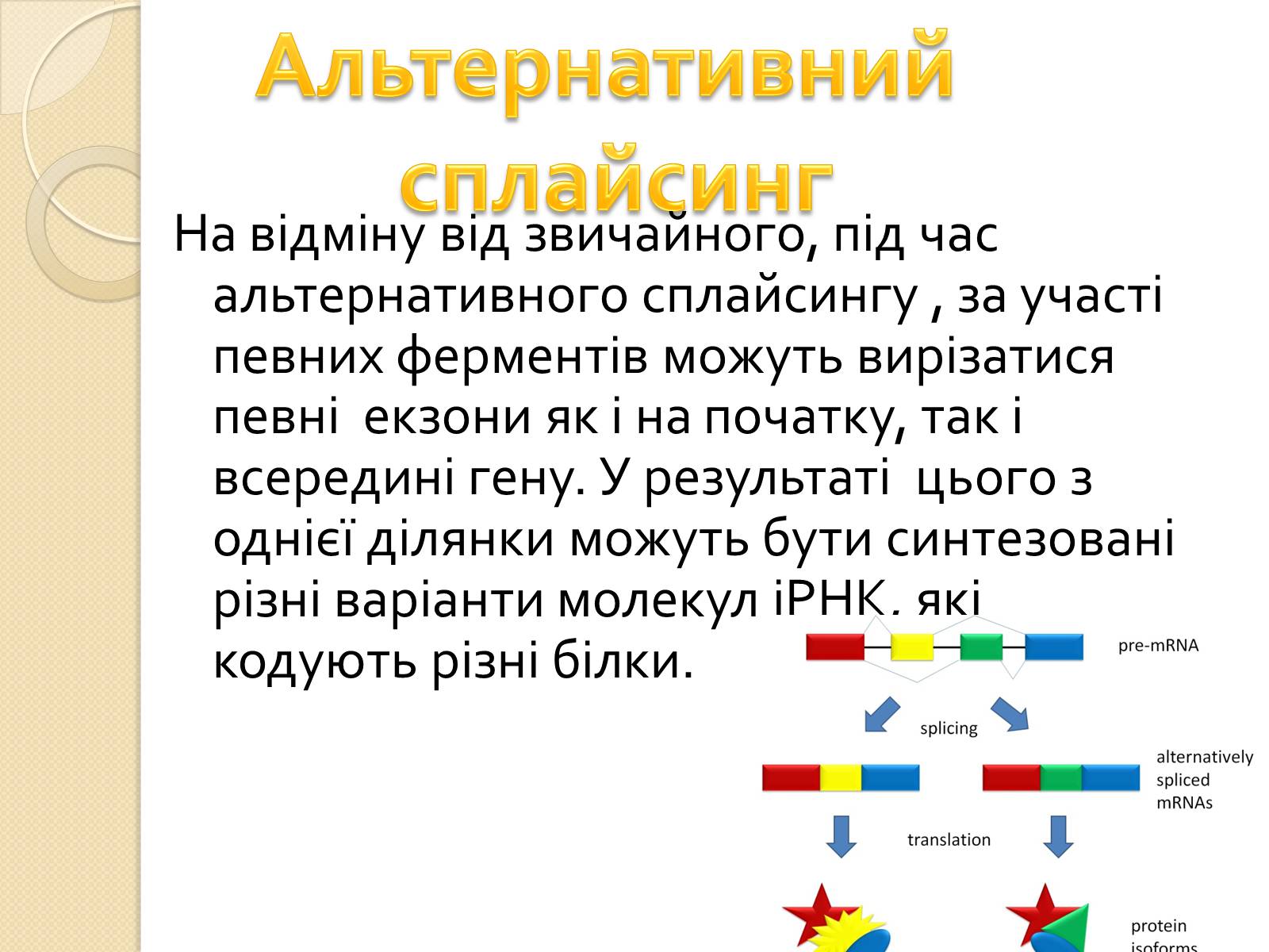 Презентація на тему «Основні закономірності функціонування генів у про – та еукаріотів» (варіант 1) - Слайд #31