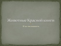 Презентація на тему «Животные Красной книги»