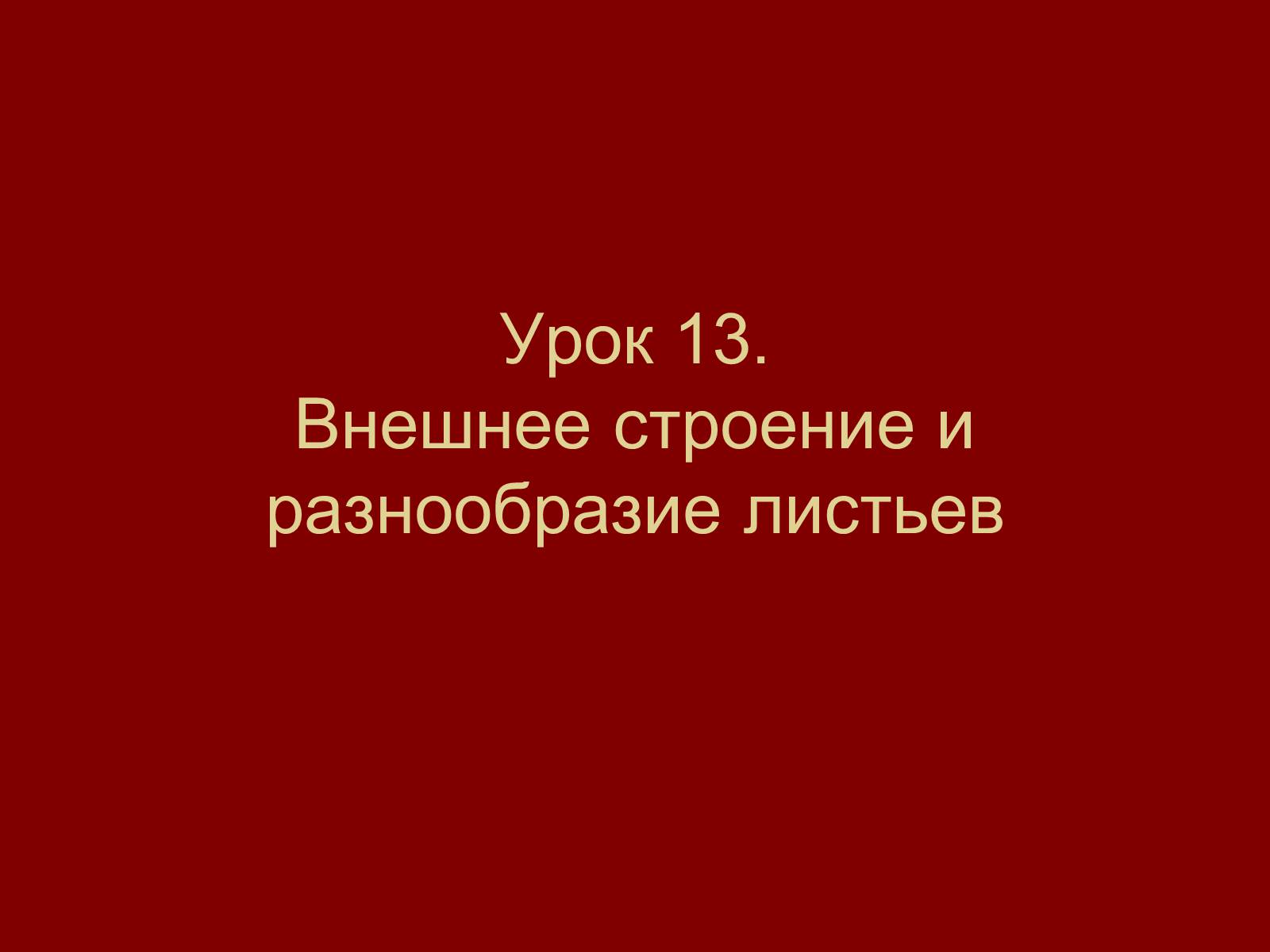 Презентація на тему «Внешнее строение и разнообразие листьев» - Слайд #1