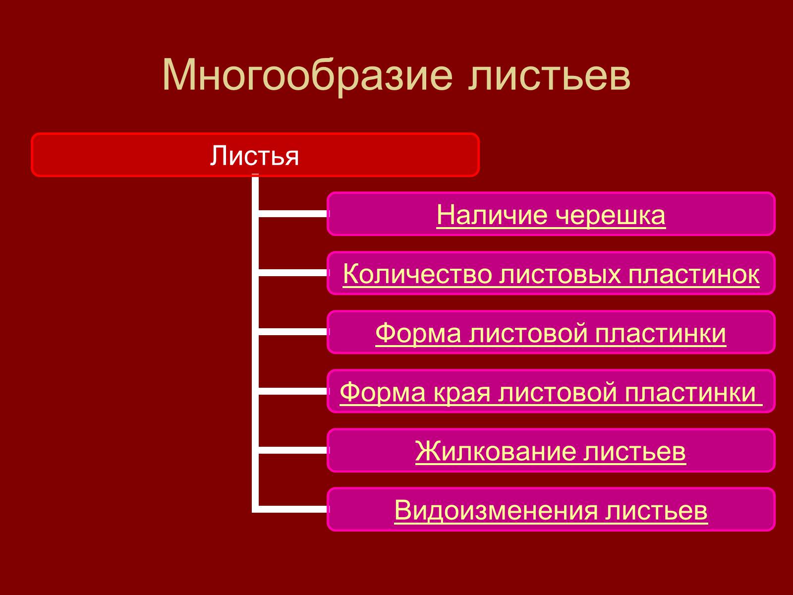 Презентація на тему «Внешнее строение и разнообразие листьев» - Слайд #5