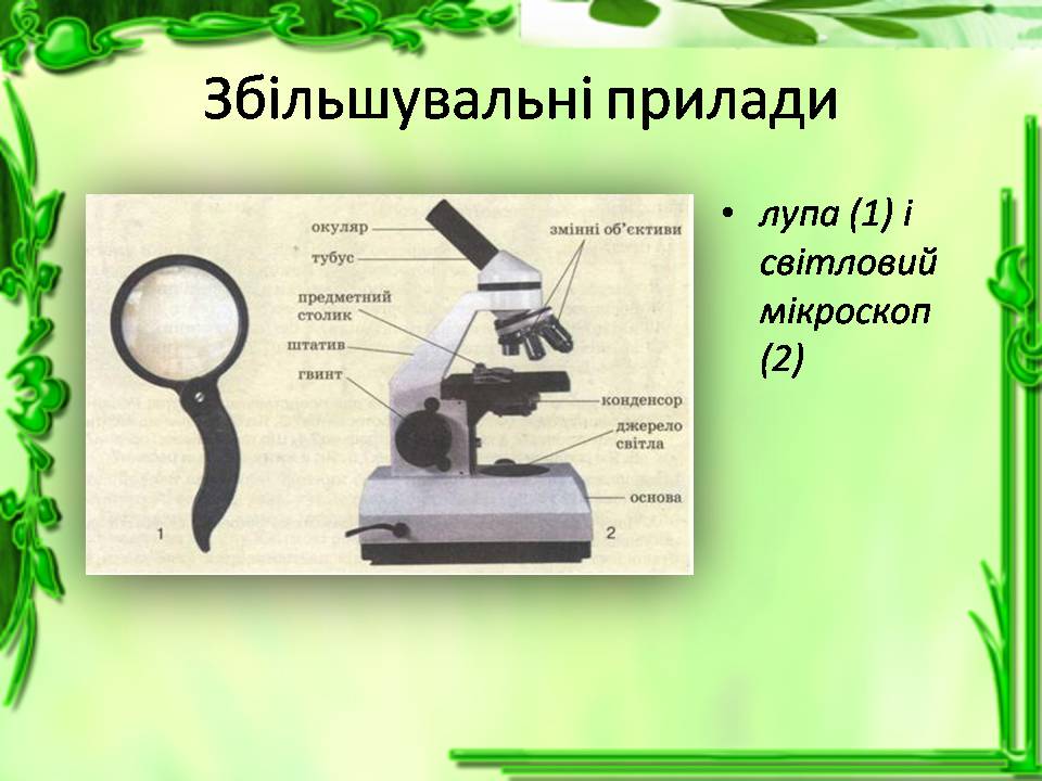 Презентація на тему «Історія відкриття клітини. Збільшувальні прилади» - Слайд #9