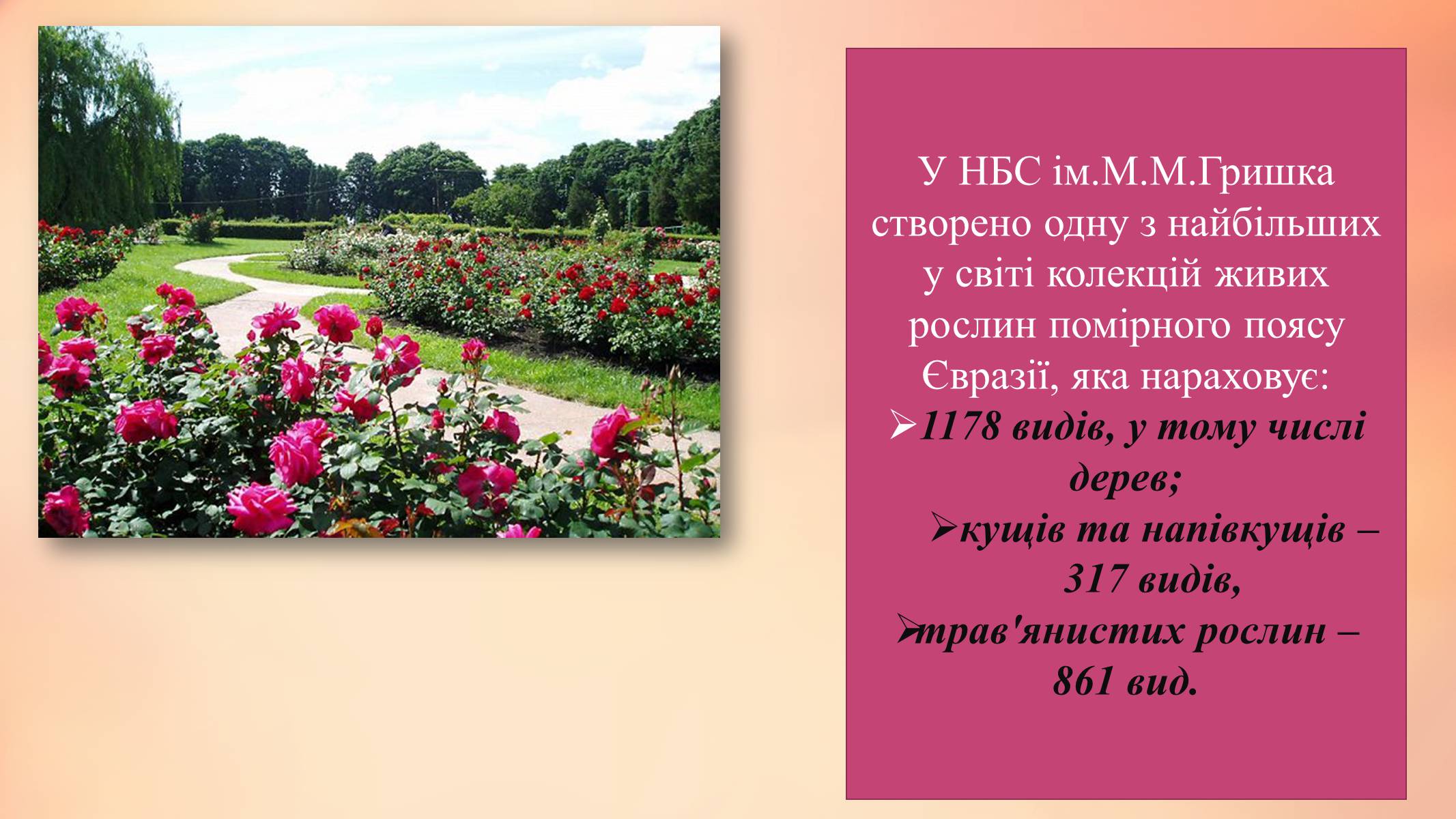 Презентація на тему «Національний ботанічний сад ім. М. Гришка» - Слайд #5