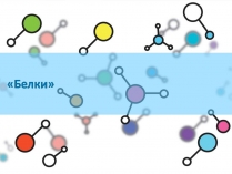 Презентація на тему «Белки» (варіант 4)