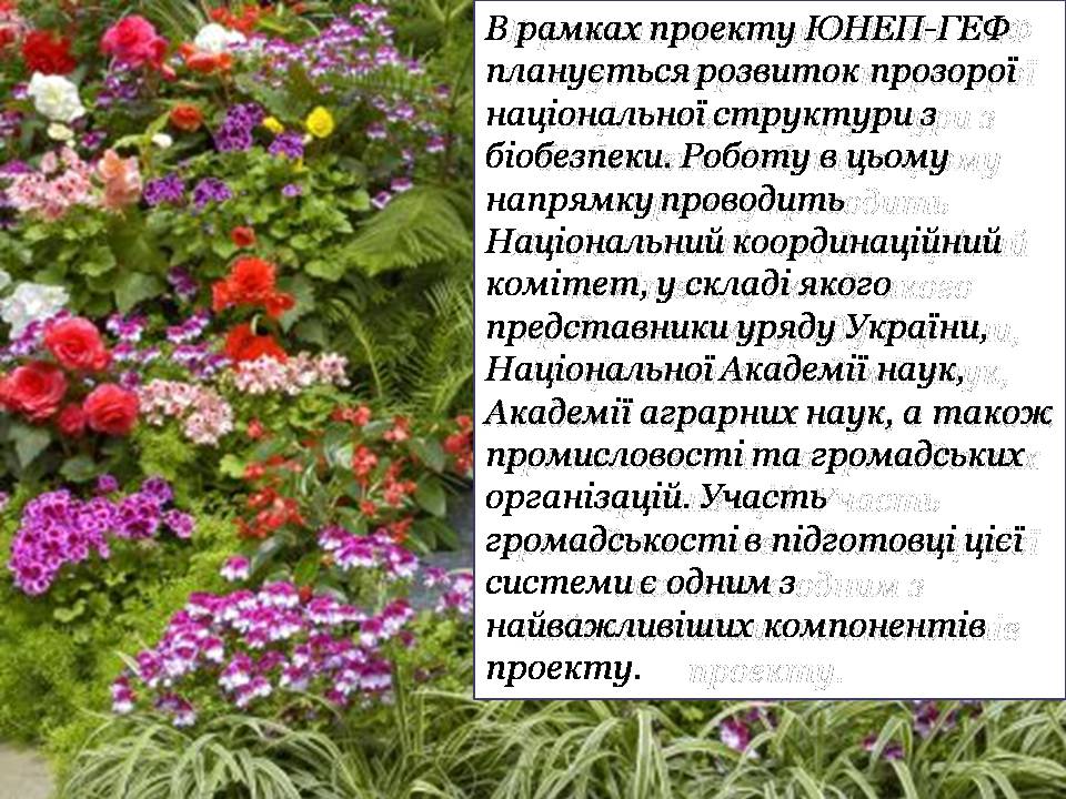 Презентація на тему «Збереження біологічного різноманіття» (варіант 2) - Слайд #6