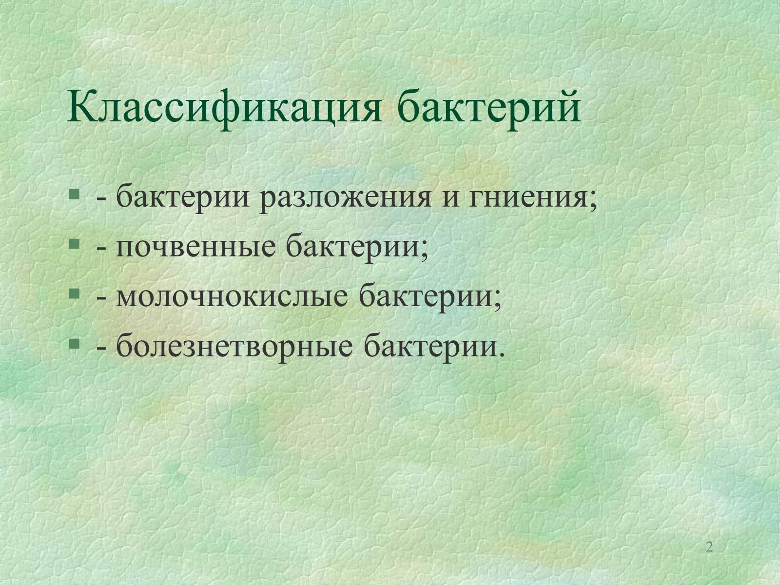 Презентація на тему «Значение бактерий в природе и жизни человека» - Слайд #2