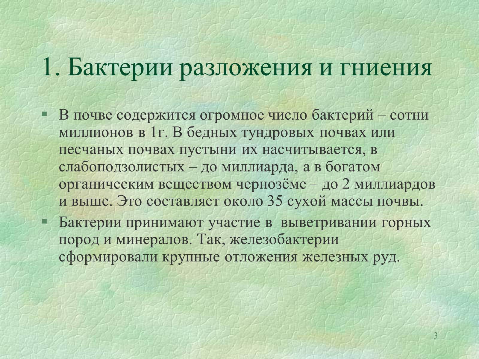 Презентація на тему «Значение бактерий в природе и жизни человека» - Слайд #3