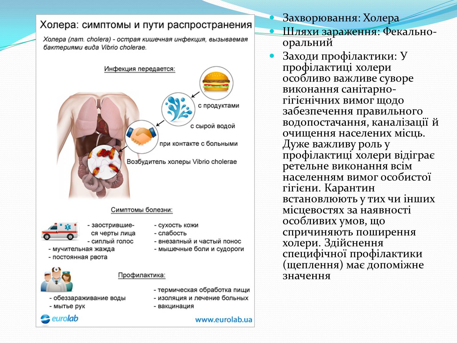 Презентація на тему «Профілактика бактеріальних захворювань людини» - Слайд #8