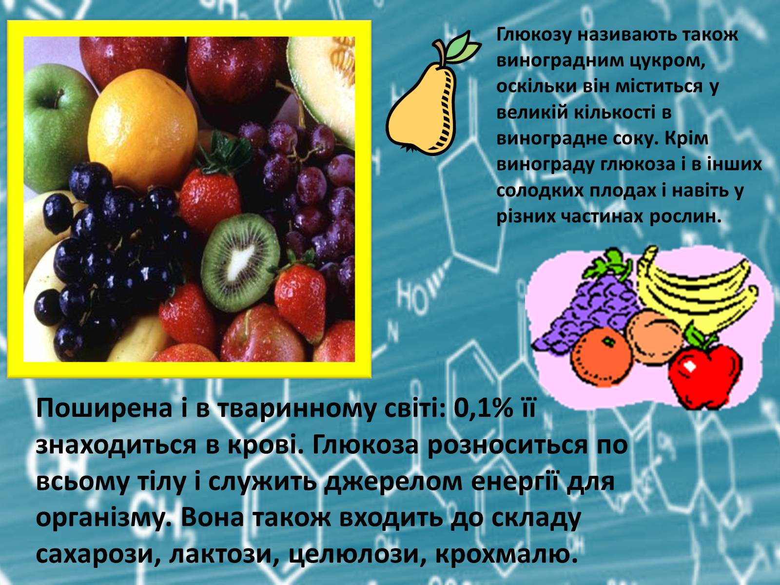 Презентація на тему «Вуглеводи як компоненти їжі, їх роль у житті людини» (варіант 27) - Слайд #9