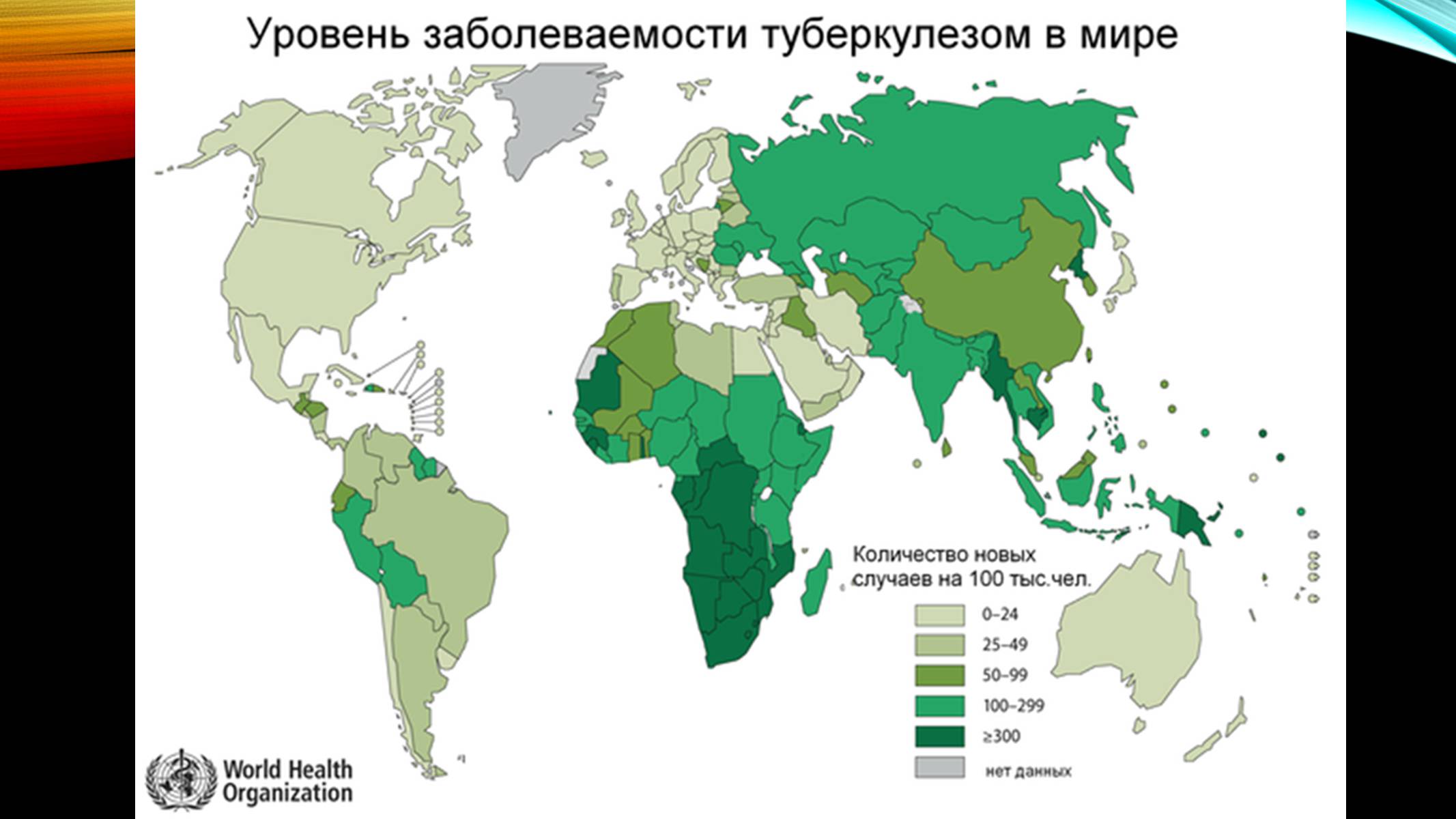 Презентація на тему «Туберкульоз» (варіант 5) - Слайд #7