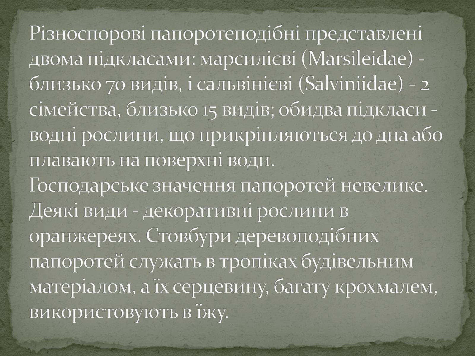 Презентація на тему «Папоротеподібні» (варіант 2) - Слайд #12