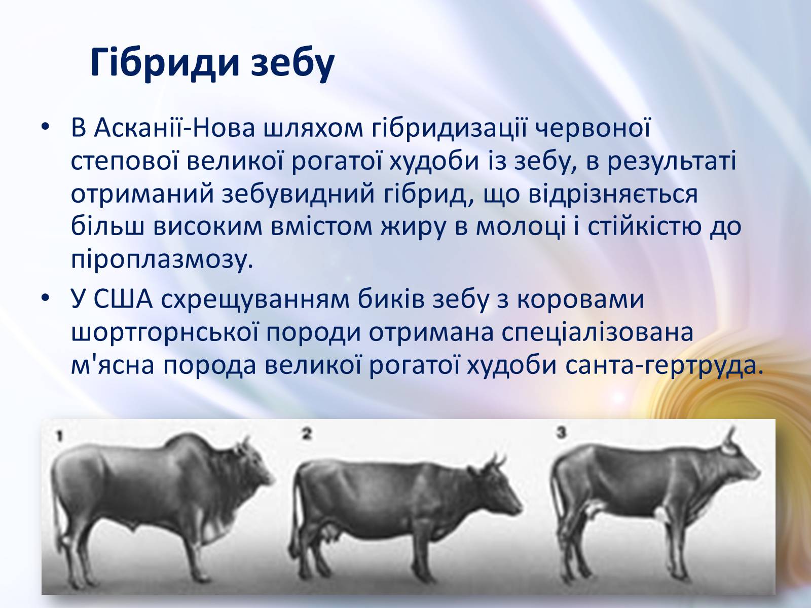 Презентація на тему «Віддалена гібридизація тварин» - Слайд #11