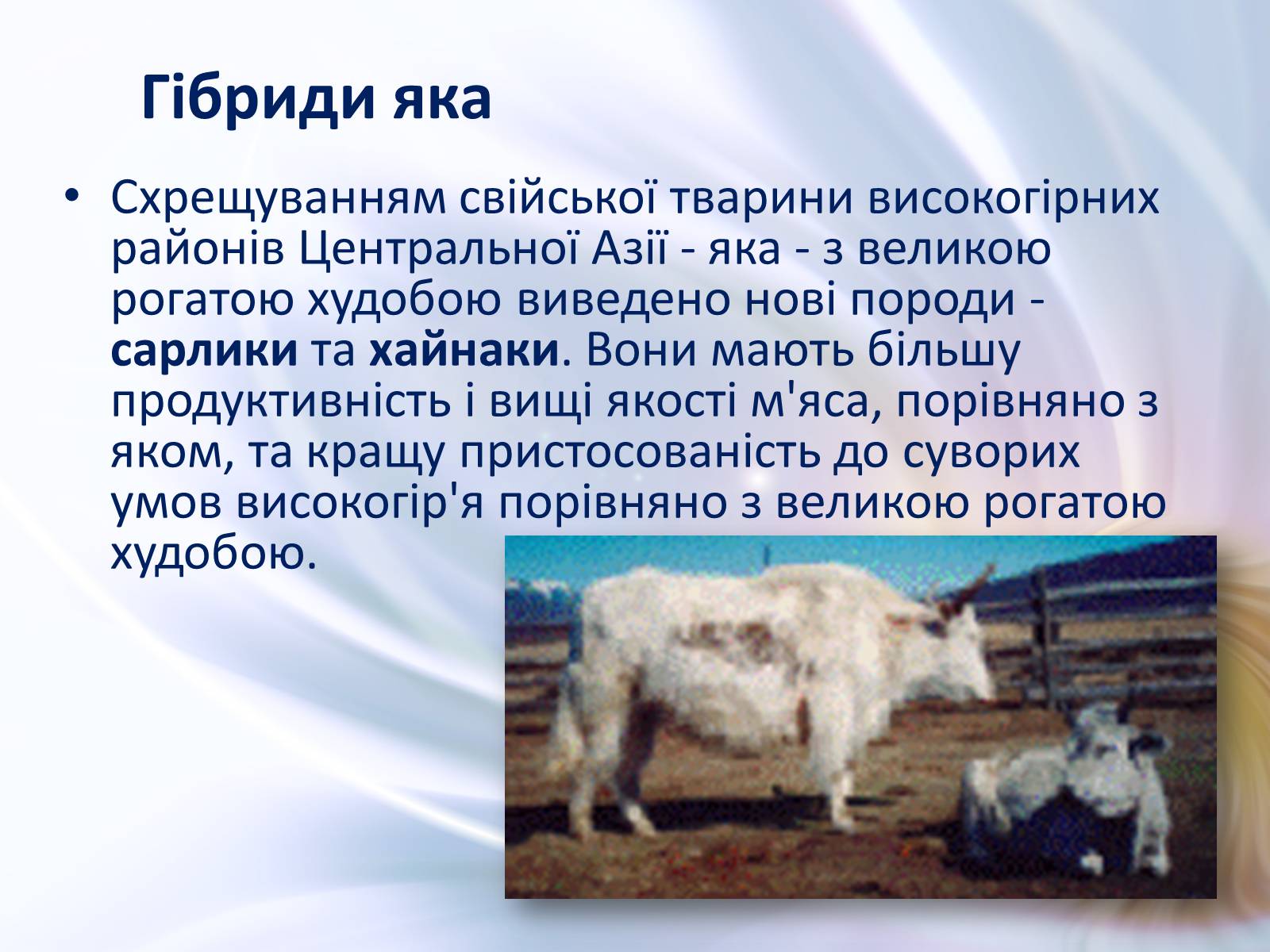 Презентація на тему «Віддалена гібридизація тварин» - Слайд #12