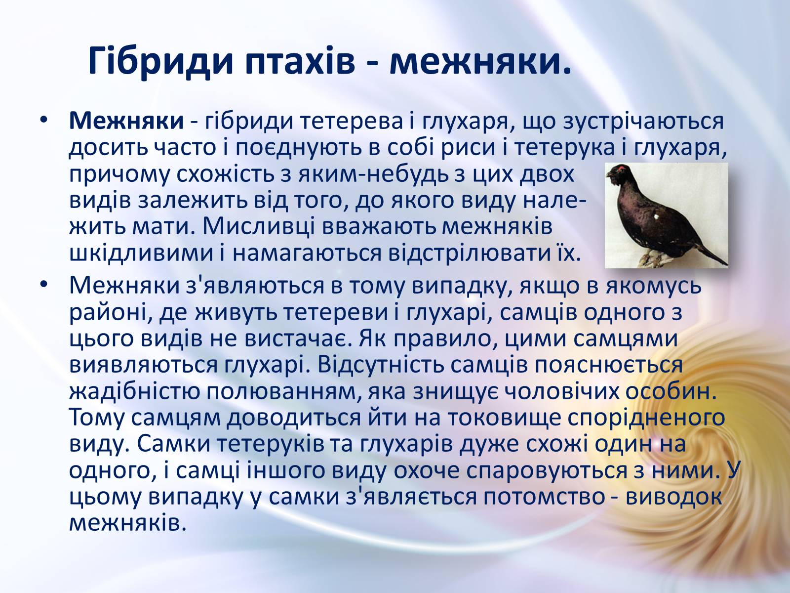 Презентація на тему «Віддалена гібридизація тварин» - Слайд #19