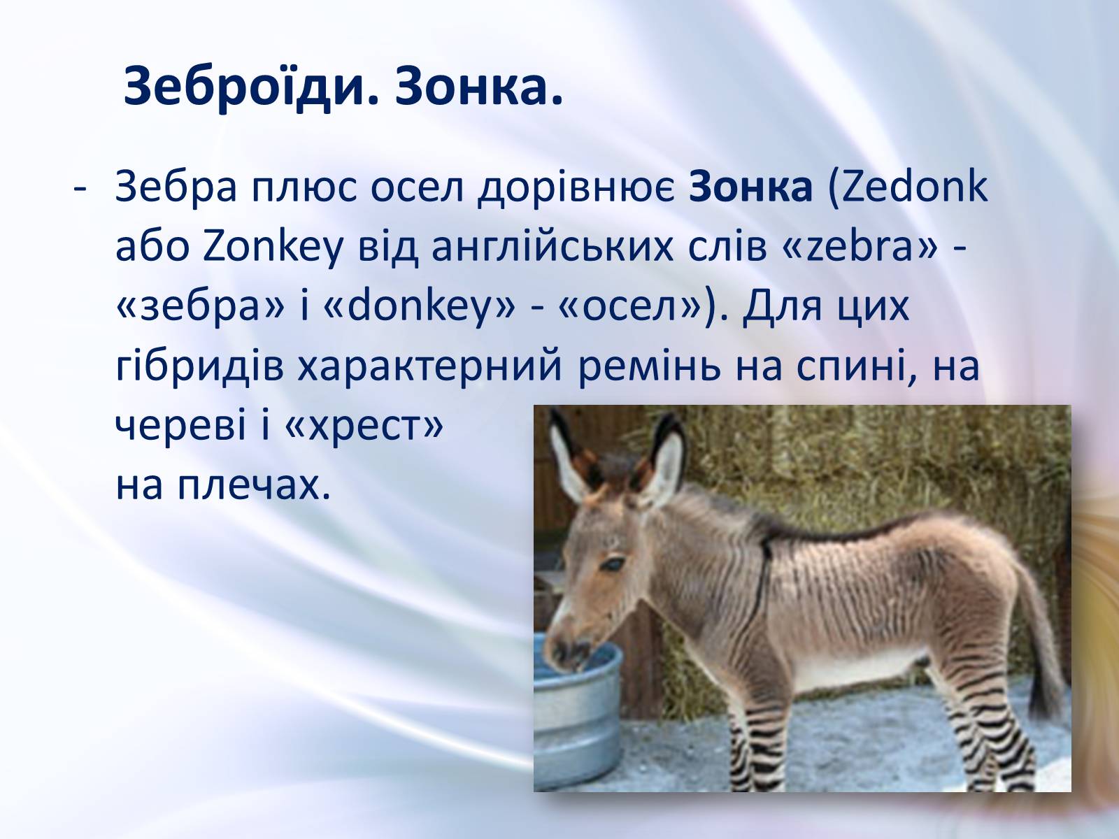 Презентація на тему «Віддалена гібридизація тварин» - Слайд #6