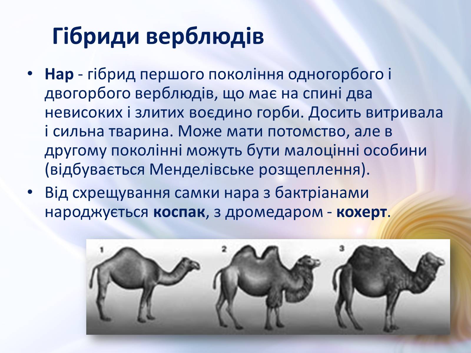 Презентація на тему «Віддалена гібридизація тварин» - Слайд #9