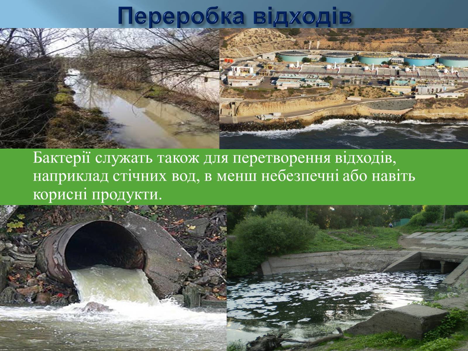 Презентація на тему «Роль бактерій в житті людини» - Слайд #6