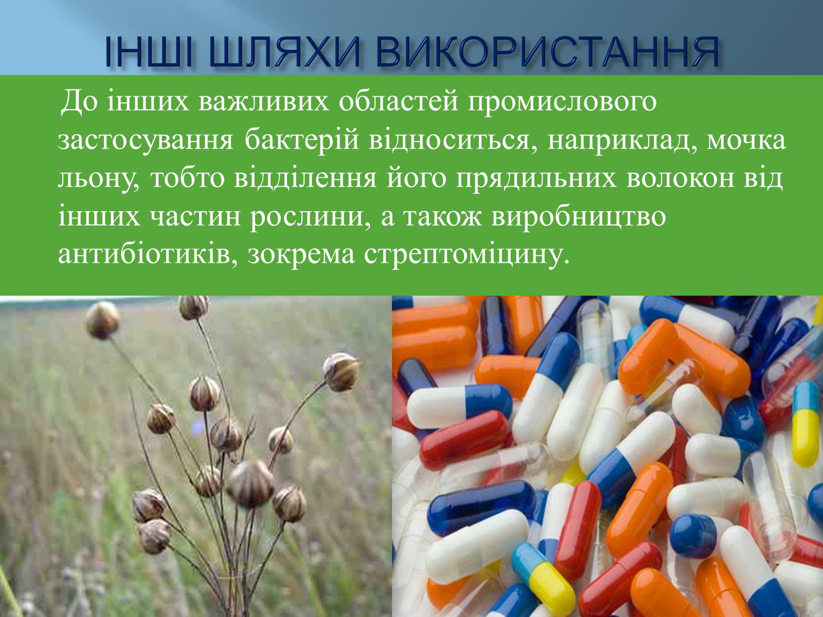 Презентація на тему «Роль бактерій в житті людини» - Слайд #7