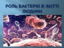 Презентація на тему «Роль бактерій в житті людини»