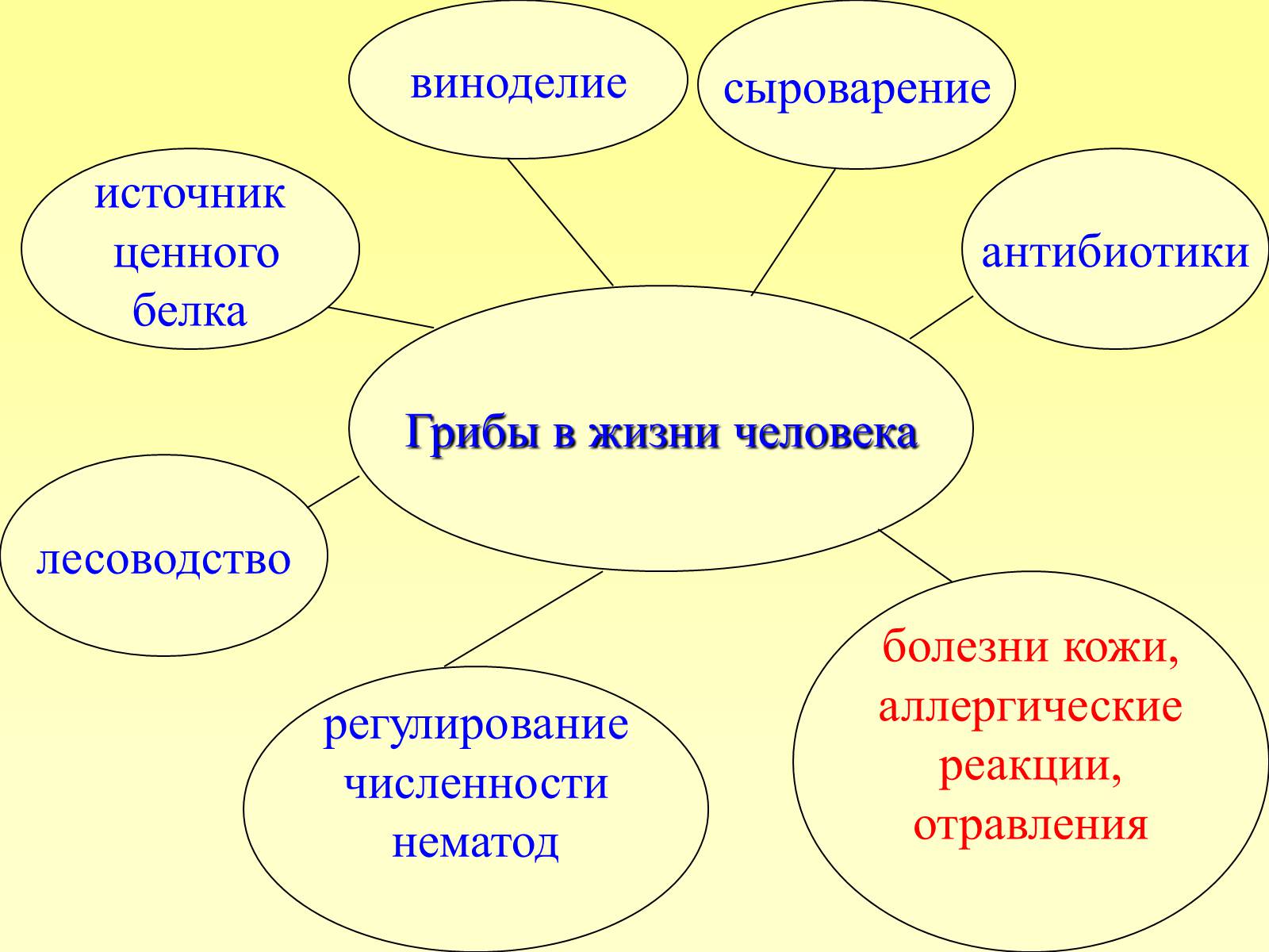 Презентація на тему «РОЛЬ ГРИБОВ В ПРИРОДЕ И ЖИЗНИ ЧЕЛОВЕКА» - Слайд #13