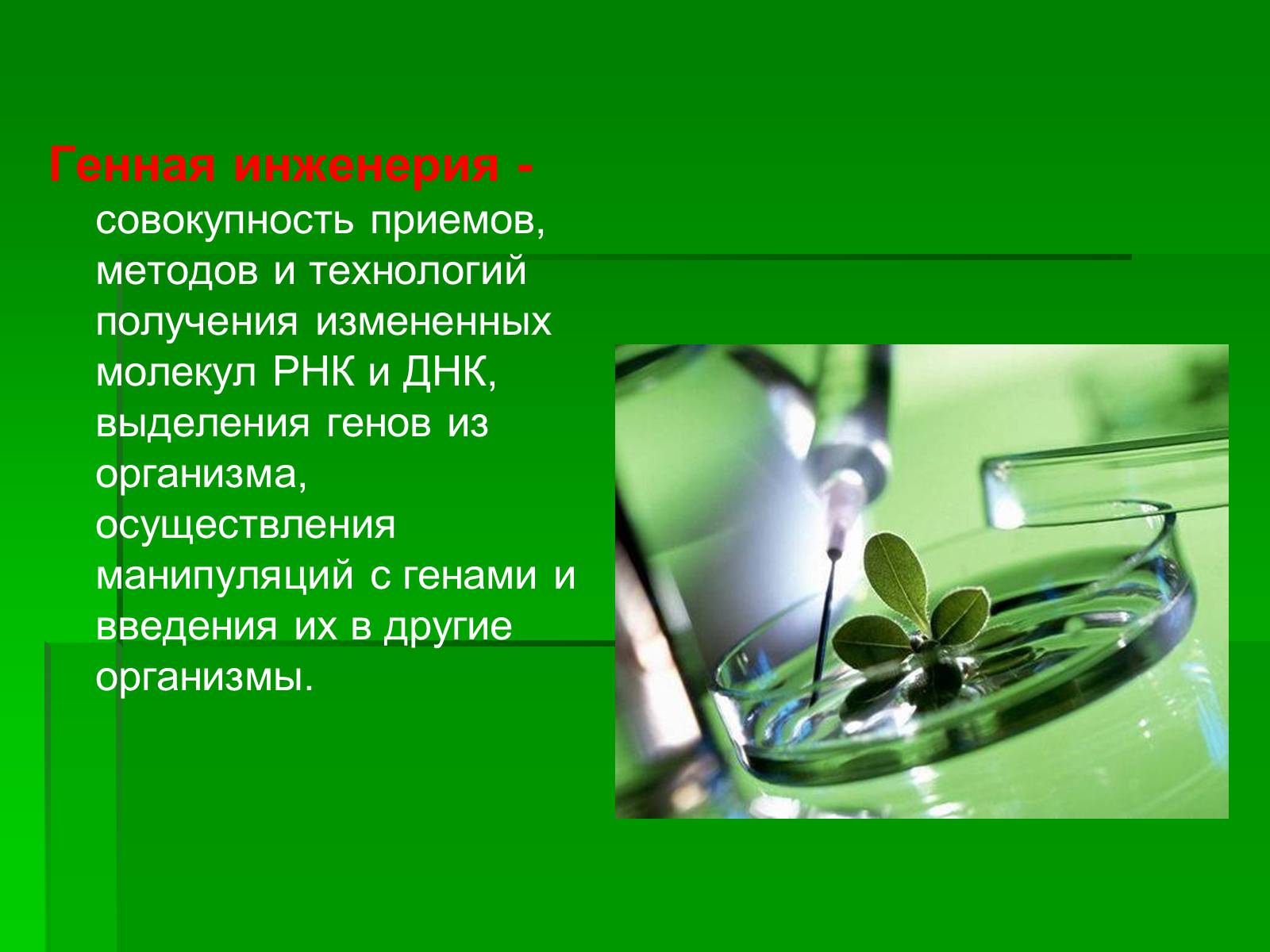 Презентація на тему «Генетически модифицированные объекты» - Слайд #7