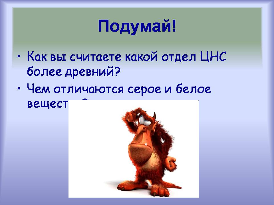 Презентація на тему «Центральная нервная система» - Слайд #19