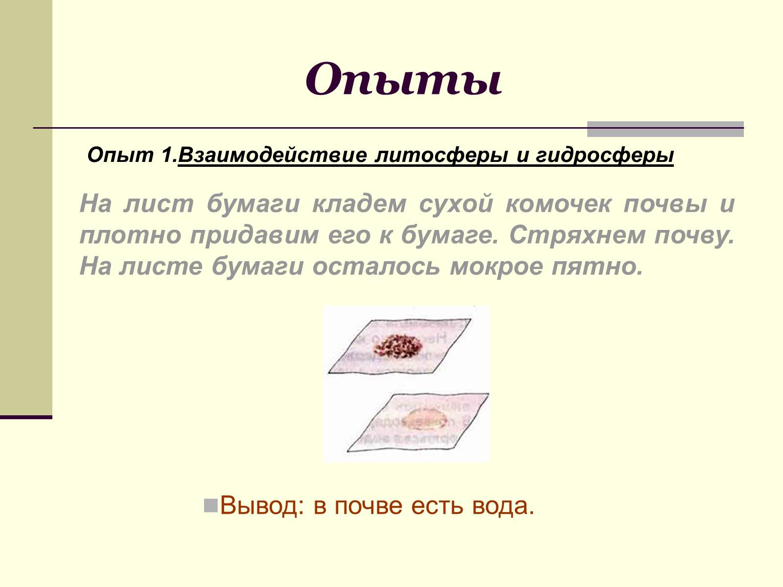 Презентація на тему «Где встречается жизнь на Земле?» - Слайд #9