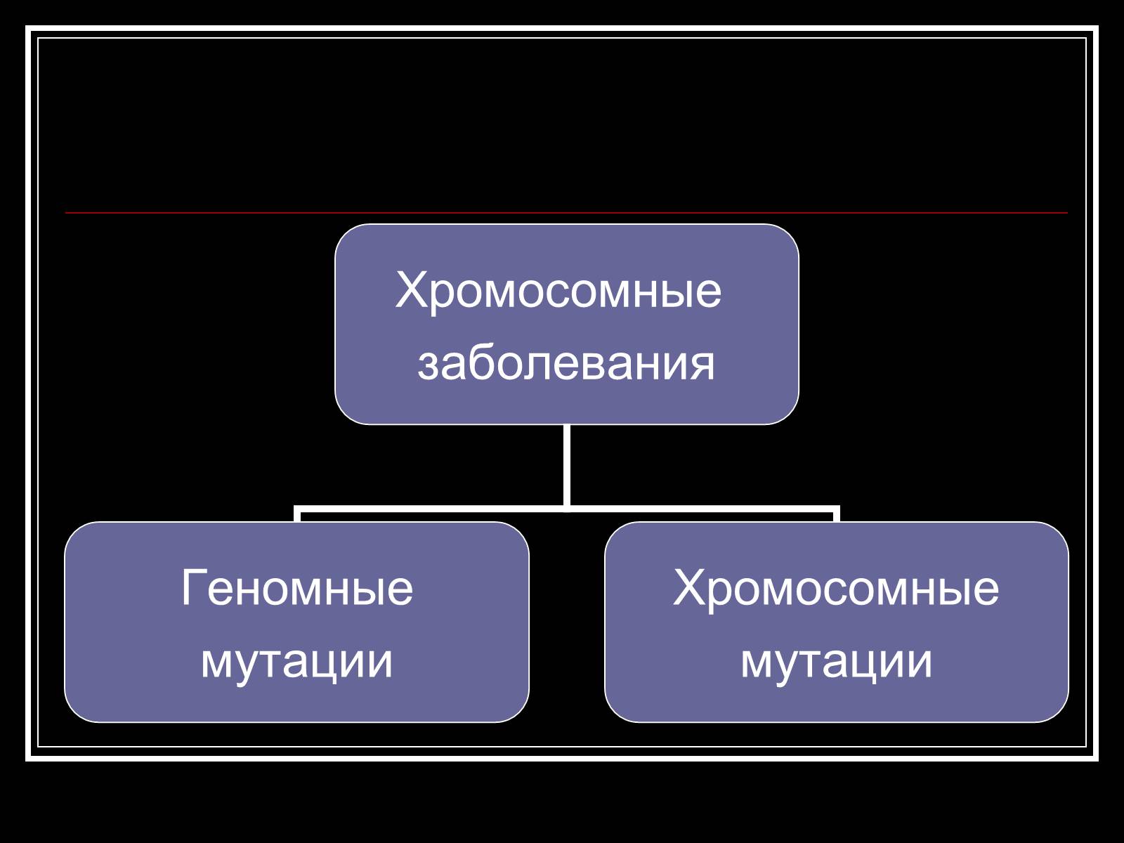 Презентація на тему «Генетика человека» (варіант 1) - Слайд #14