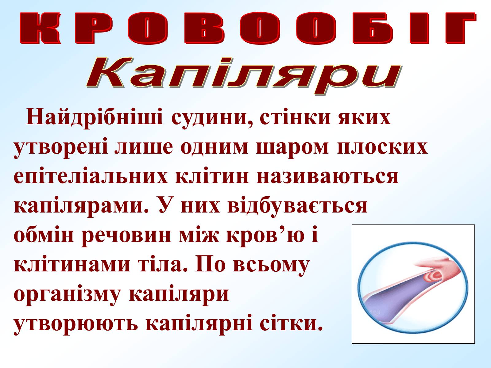 Презентація на тему «Кровообіг» - Слайд #8