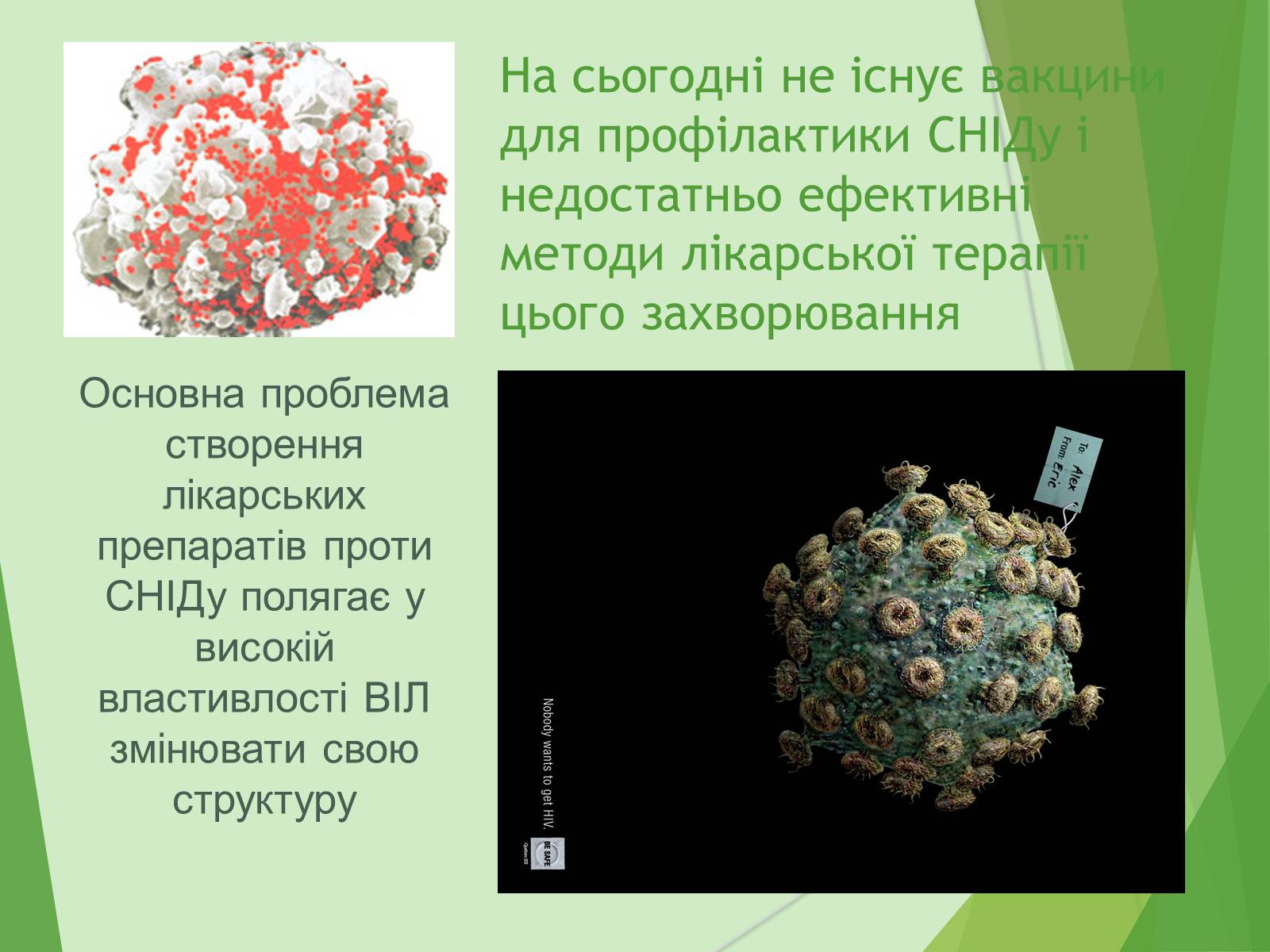 Презентація на тему «ВІЛ. СНІД. інфекції ІПСШ: шляхи передачі і методи захисту» (варіант 7) - Слайд #21