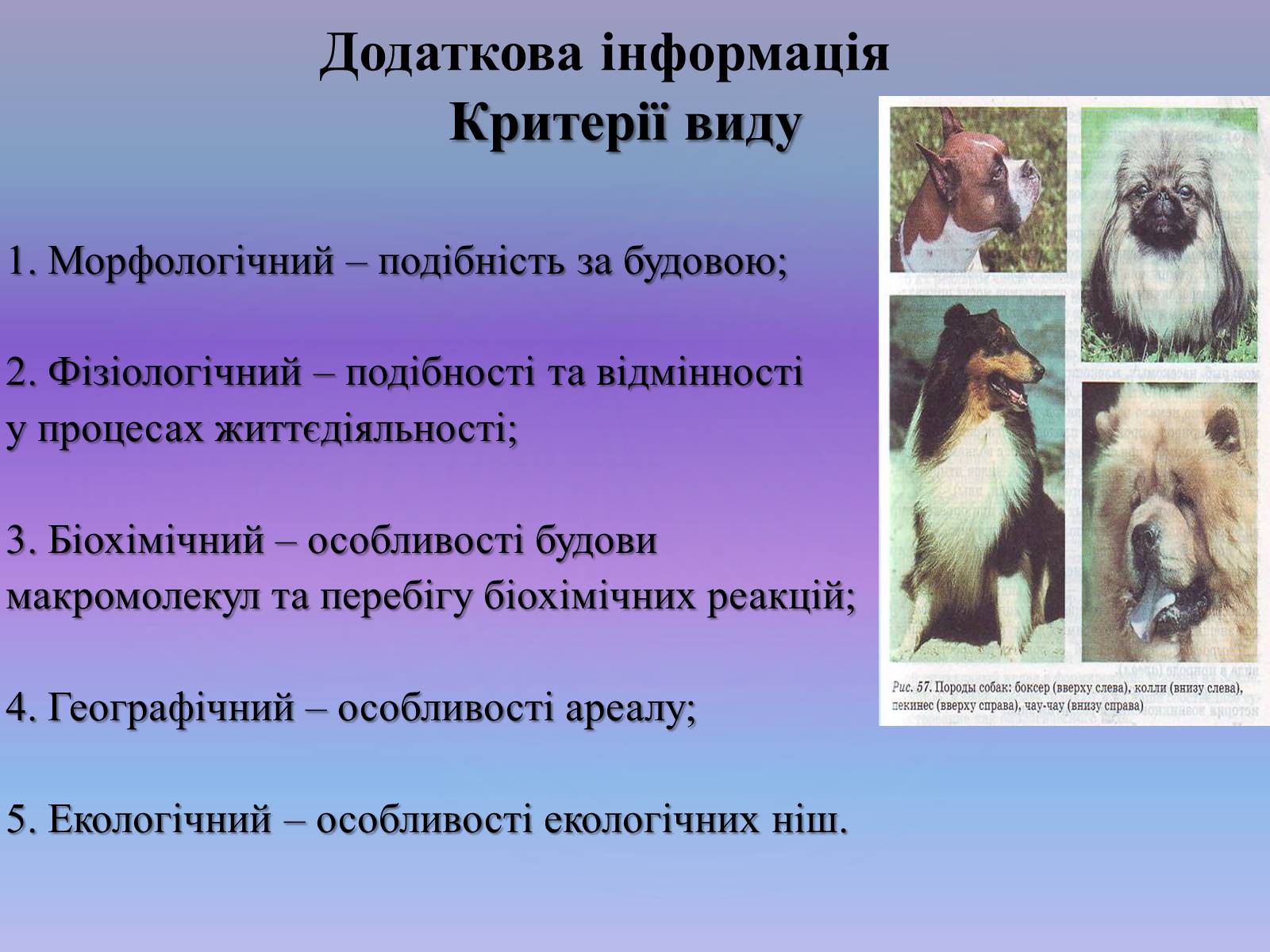 Презентація на тему «Видоутворення. Мікроеволюція» - Слайд #7