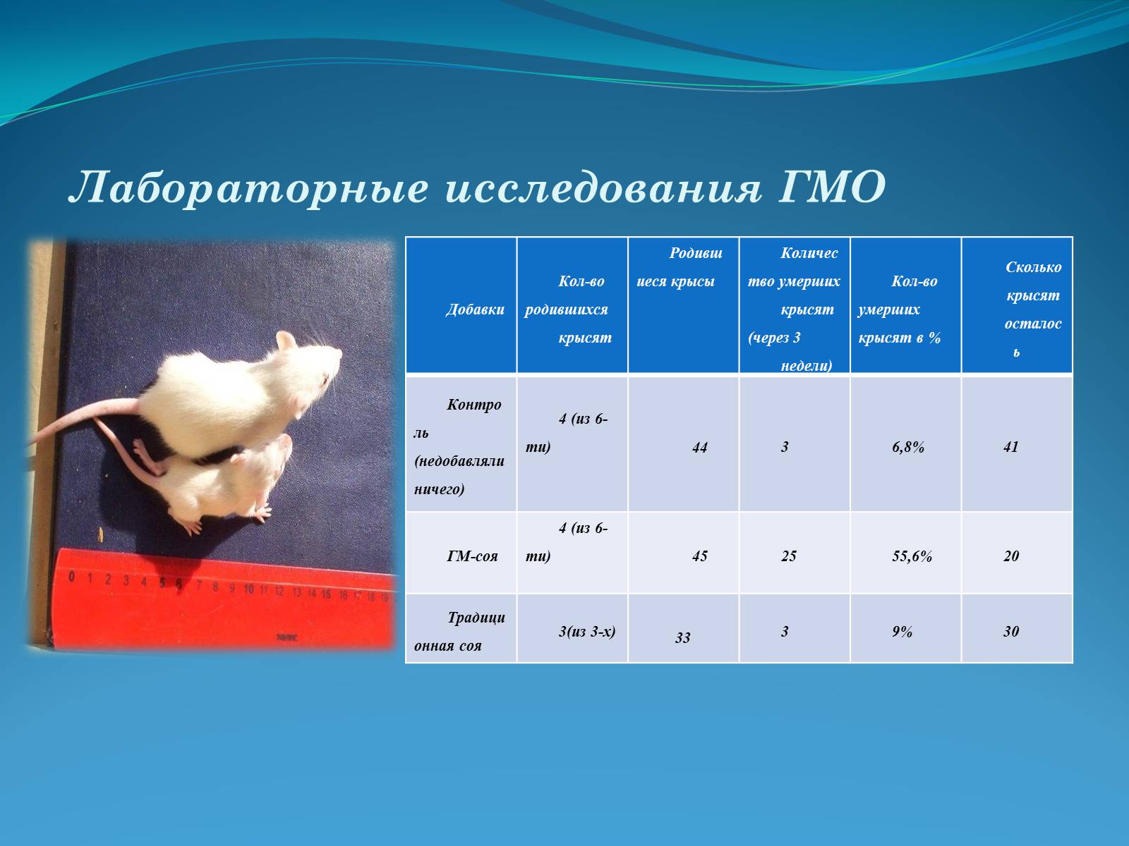 Презентація на тему «ГМО в пищевой промышленности» - Слайд #12