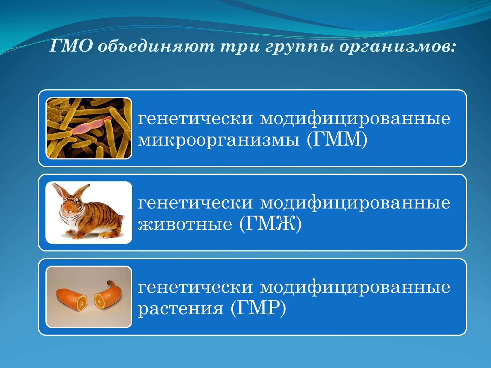 Презентація на тему «ГМО в пищевой промышленности» - Слайд #3