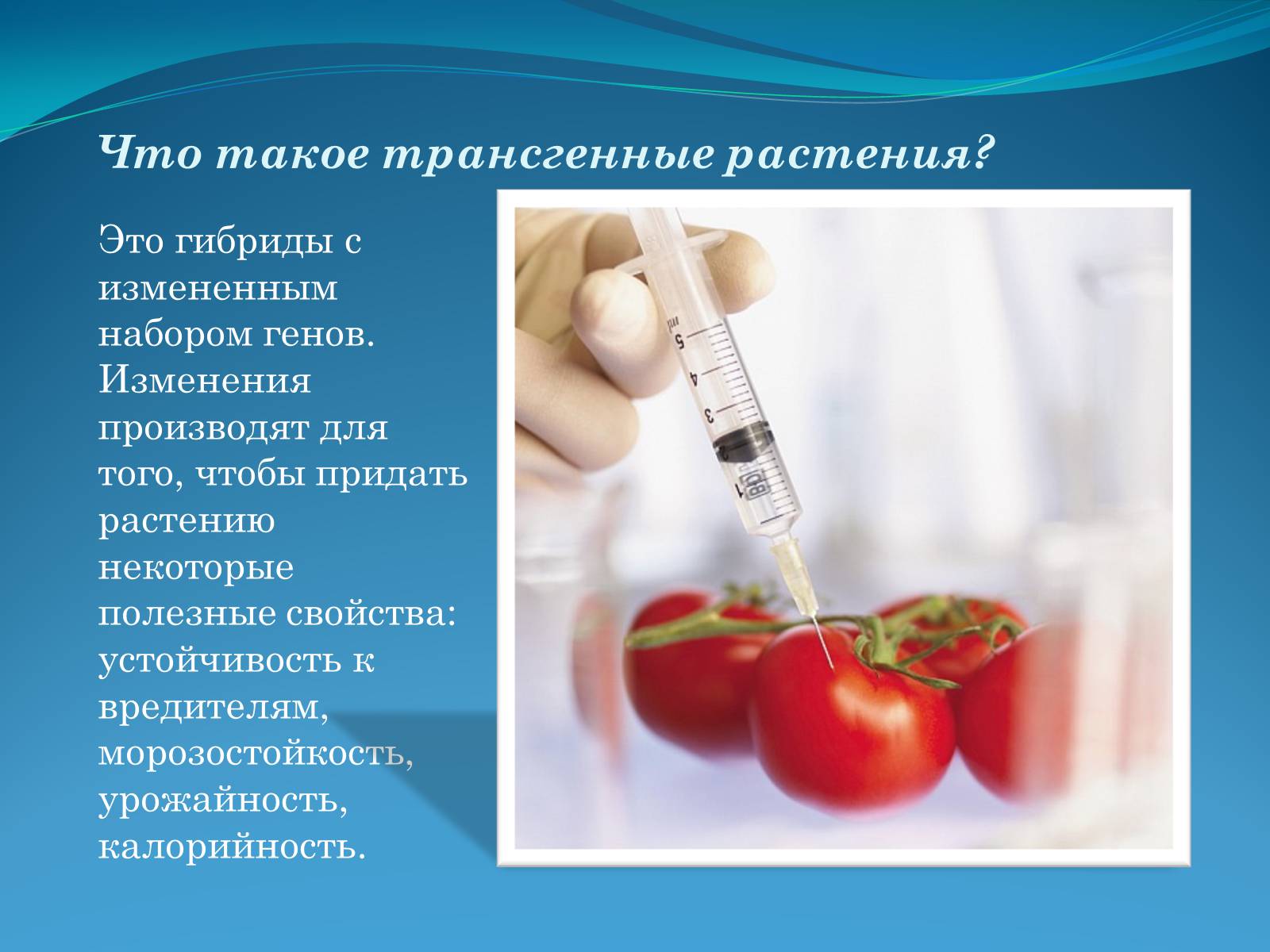 Презентація на тему «ГМО в пищевой промышленности» - Слайд #4