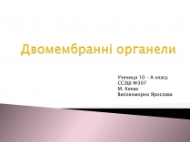 Презентація на тему «Двомембранні органели» (варіант 1)