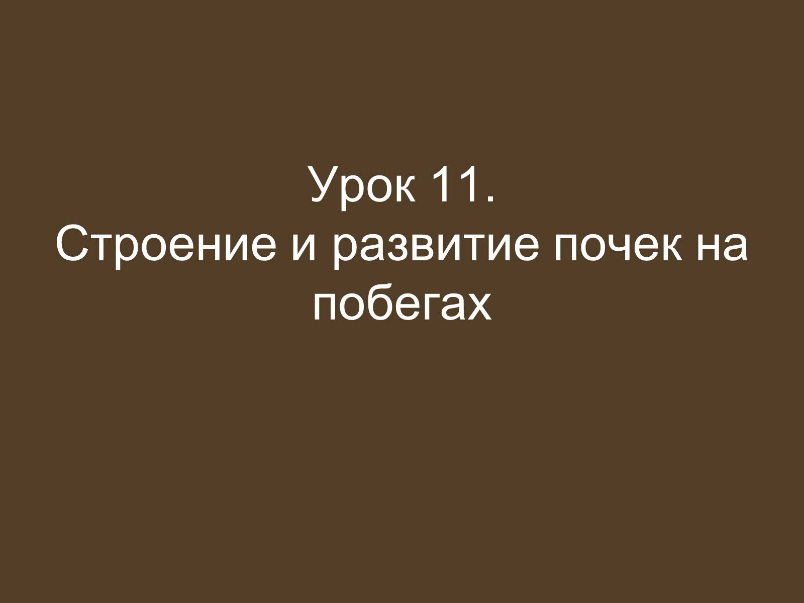 Презентація на тему «Строение и развитие почек на побегах» - Слайд #2