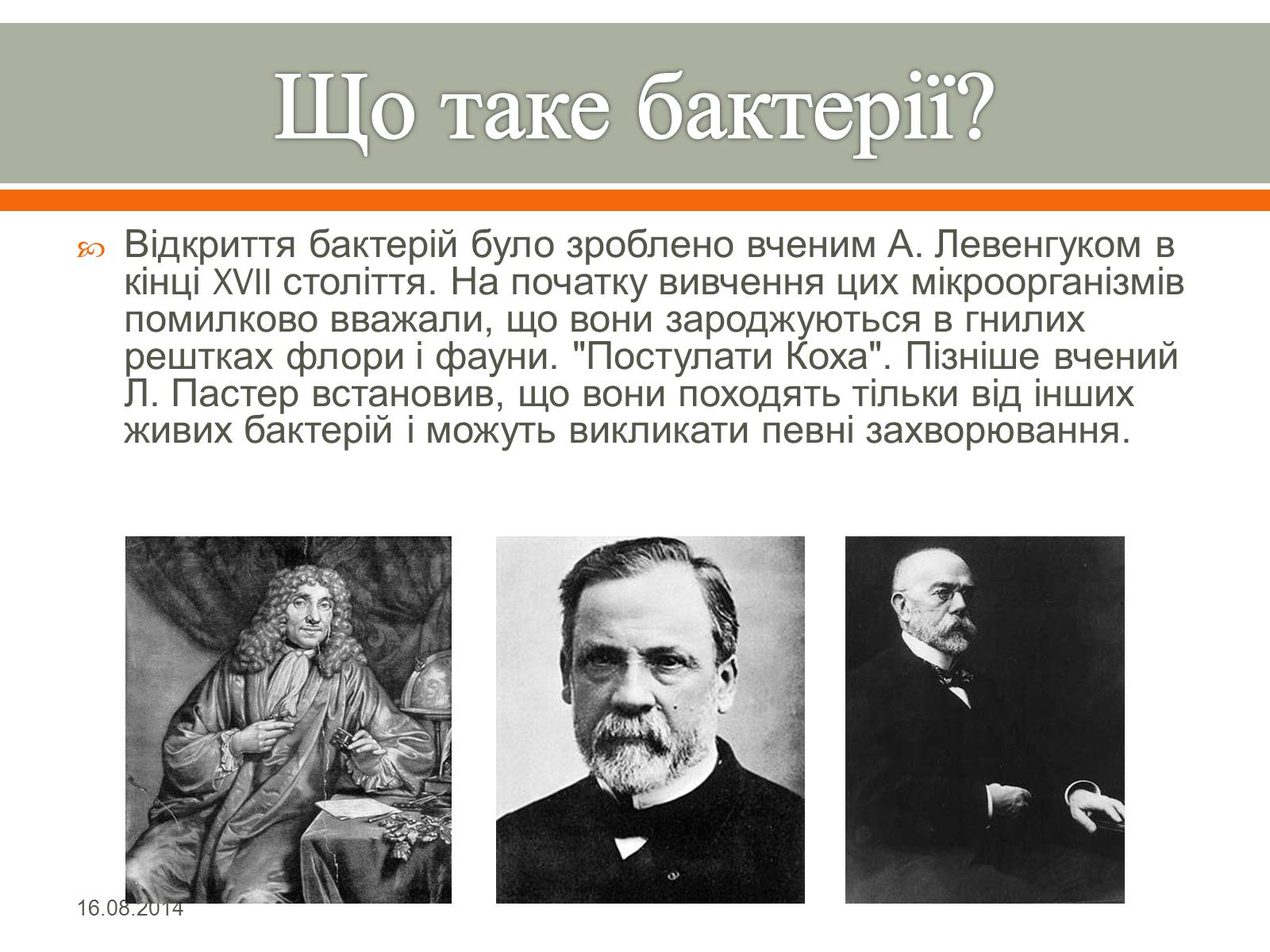 Презентація на тему «Бактерії» (варіант 1) - Слайд #3